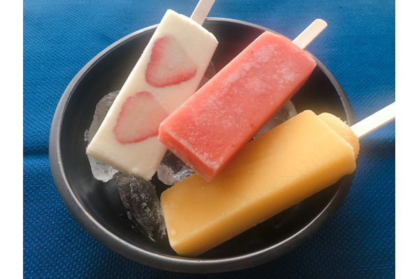 高知県産の果物の みずみずしさがそのまま！ 添加物不使用で美味しい 「土佐のフルーツキャンデーセット」