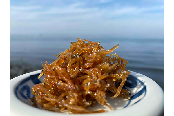 海から上がったら、すぐ食卓へ! 旨味たっぷり、淡路島の佃煮