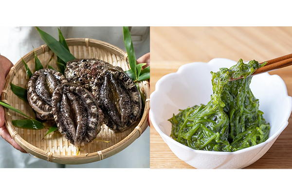 三陸の栄養豊富な海で育った「天然活アワビ」と春採り新物登場の「湯通しめかぶ」