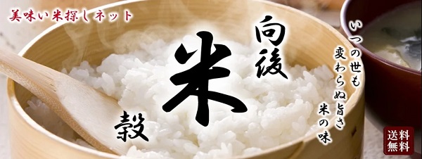 毎日食べたい！冷めてもおいしいお米「ミルキークイーン」とモチモチの「米粉麺」
