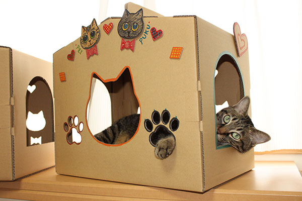 入った猫が出てこない？丈夫なダンボールで作られた、猫受け抜群の「ねこハウス」