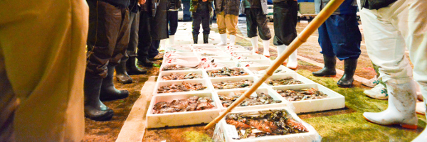 高田魚市場_3