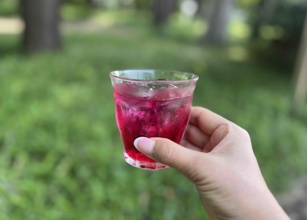無農薬で安心して飲める！宮城の農家がつくる「濃縮 赤しそジュース シロップ」