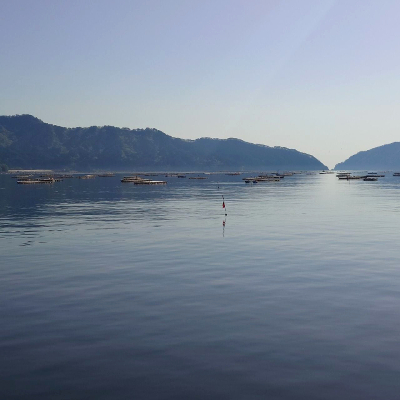 石山水産_2