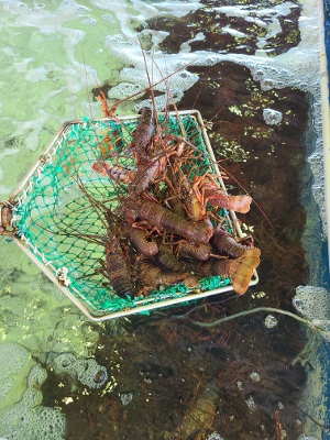 串浜水産_6