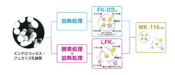 ニチニチ製薬_3
