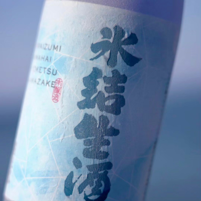 飛良泉本舗_8