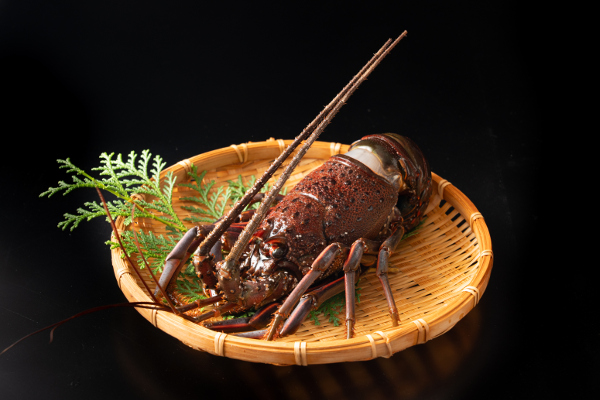 串浜水産_3