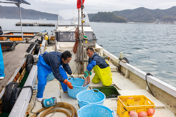 岩船水産_3