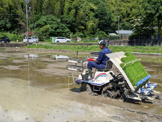山福水産_6