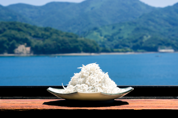 ふわふわ食感がたまらない！水揚げ1分で釜揚げ、無冷凍の徳島産「椿泊シラス」
