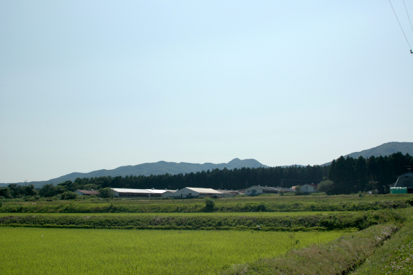 高源精麦_2