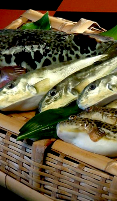 すぎ省水産_6