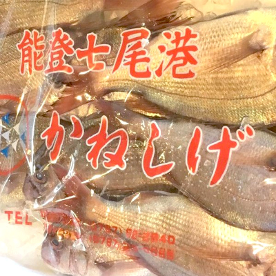 すぎ省水産_3