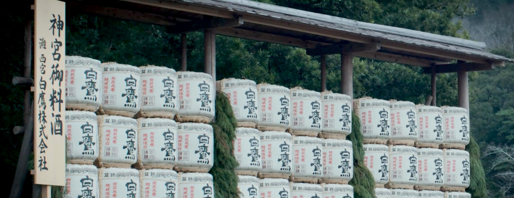 白鷹_2