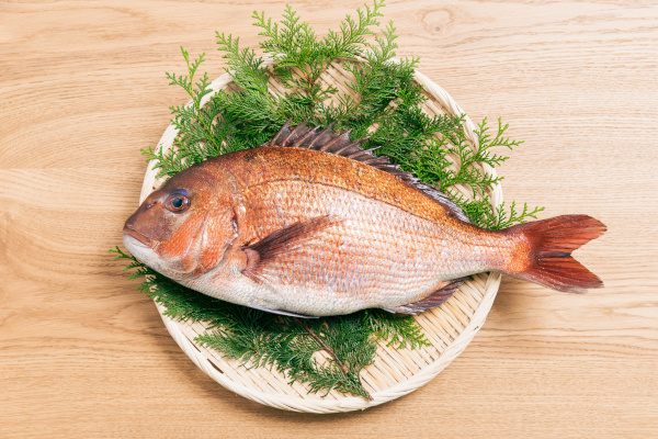 秀長水産_6
