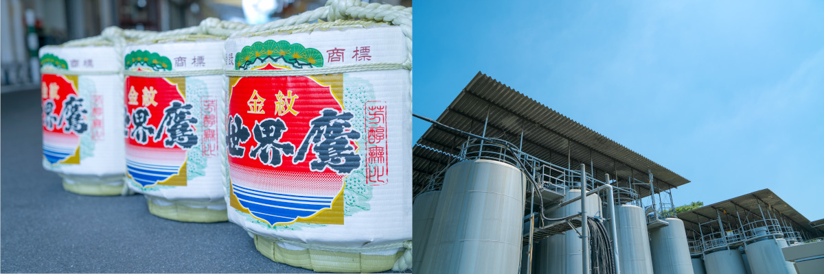 小山本家酒造_3