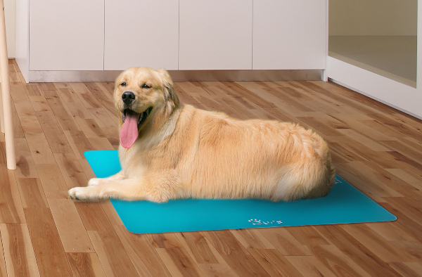 大切な愛犬のために!ひんやり犬用クールマット「クーラーボード」と食器台「フードボウルテーブル」