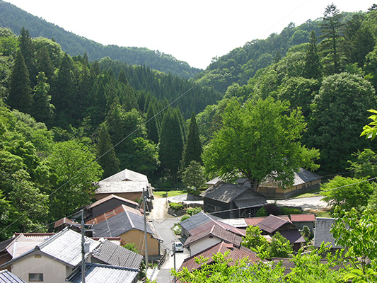 吉田ふるさと村_1