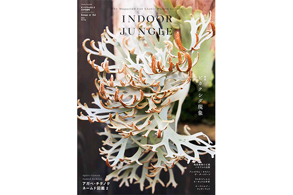 「INDOOR JUNGLE Issue .02」