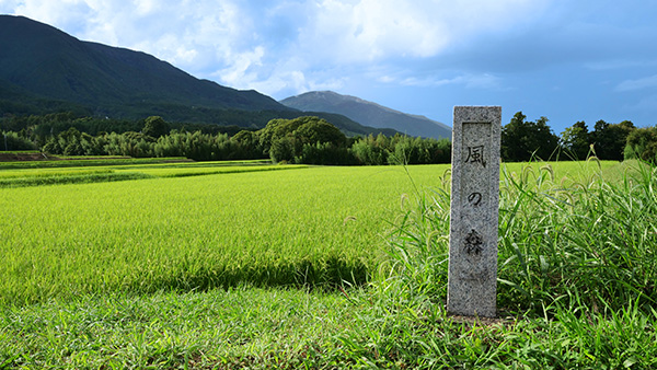 油長酒造_4